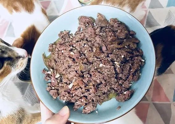 猫罐头里卡拉胶的危害,猫罐头里加卡拉胶正常吗