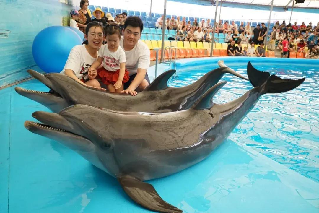 普吉岛雨天游玩攻略视频,普吉岛旅游帆船3天2晚