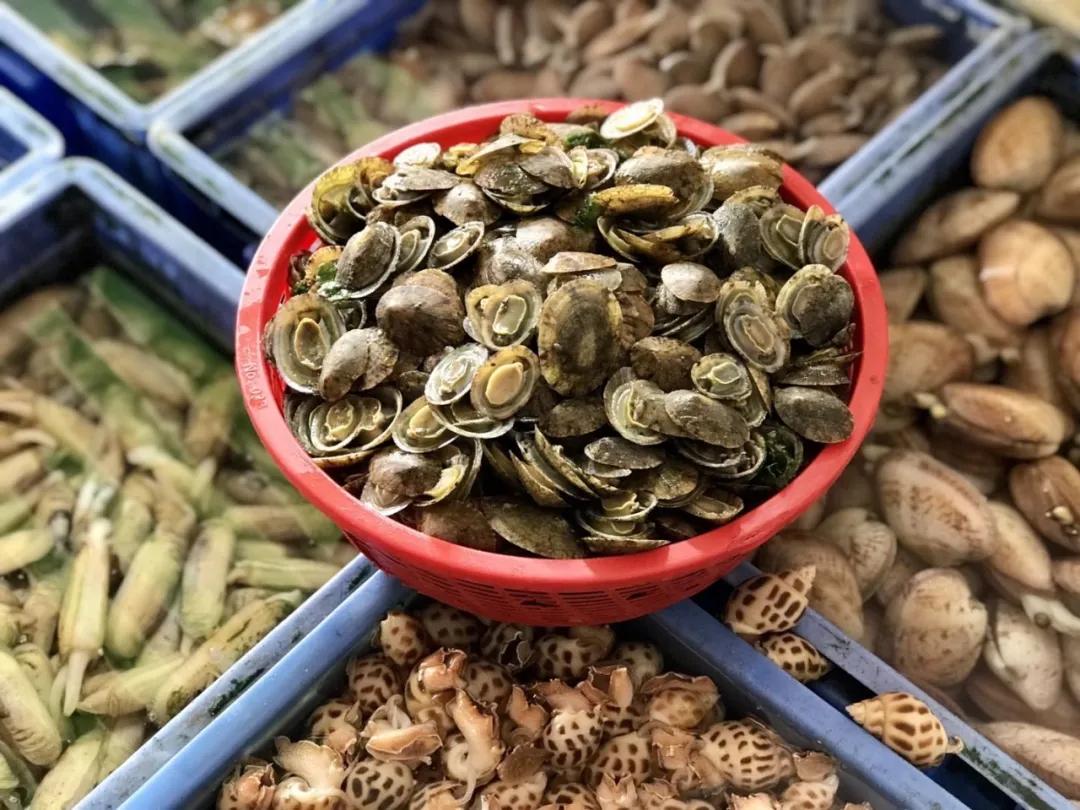 南澳岛小众隐藏景点,南澳岛2天1夜自驾游地图