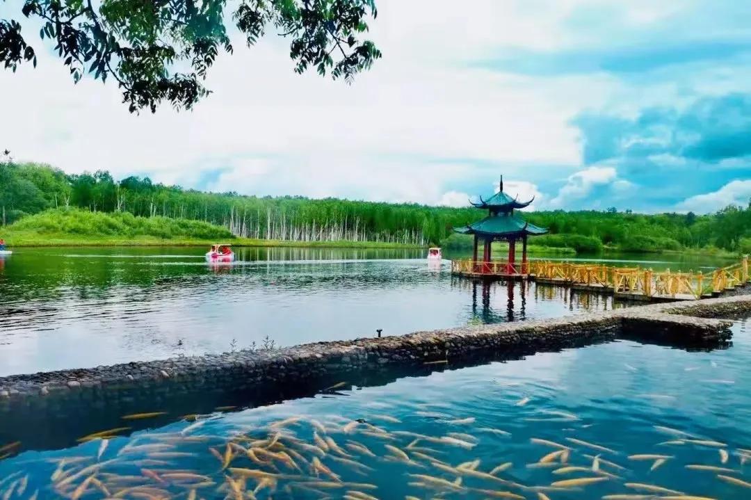 白山之夏旅游,白山4天旅游攻略