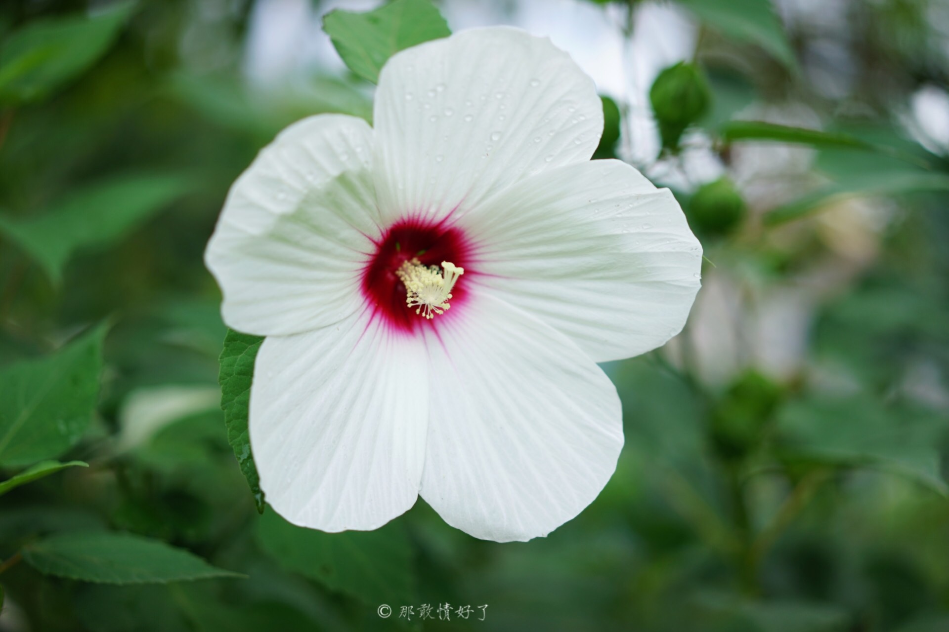 北京昌平带私人烧烤的民宿,昌平京郊民宿