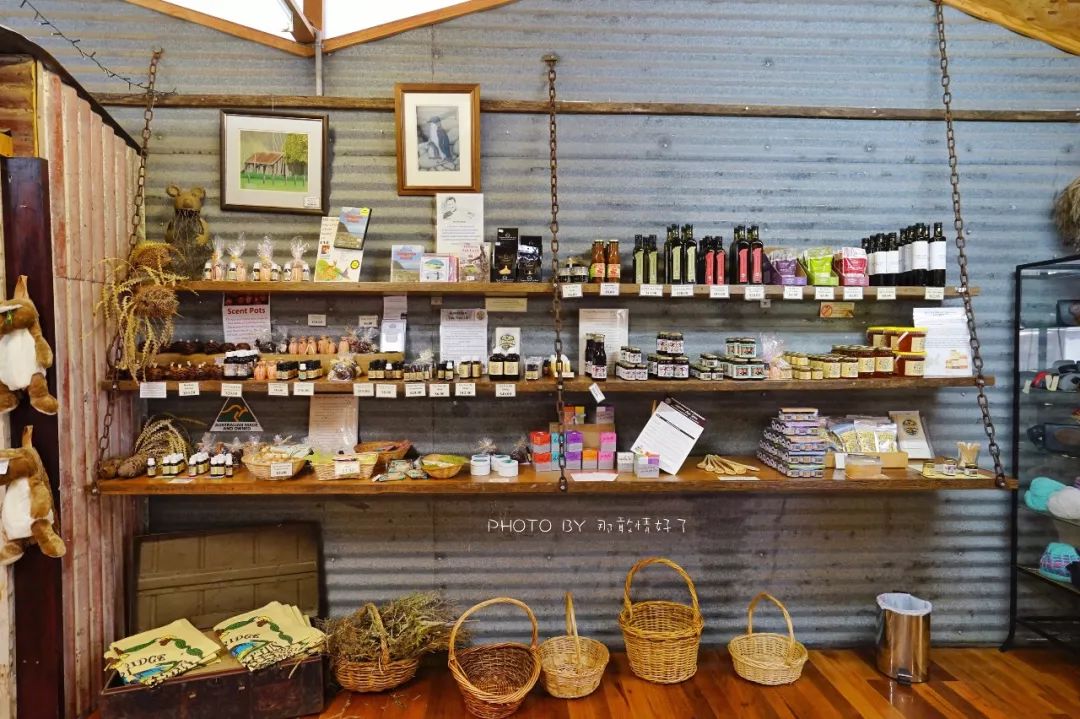 赴澳洲需要买的东西,去澳洲探亲要提供无犯罪记录吗