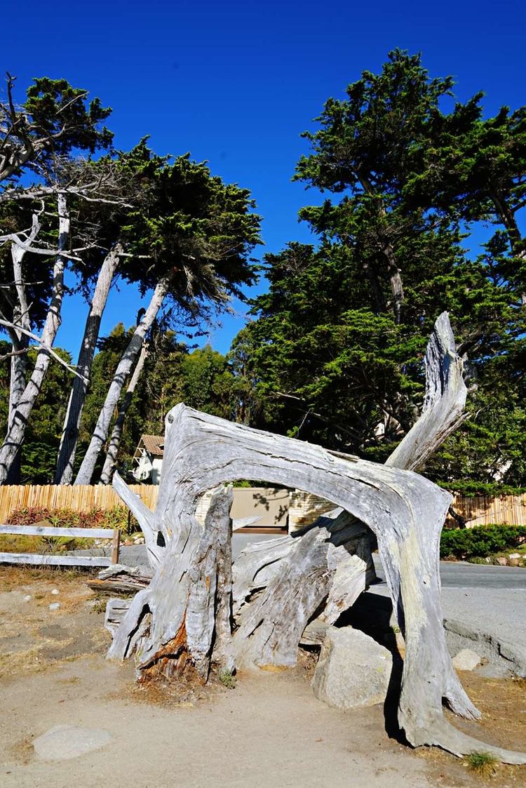 美国德州西部自由行,美国西海岸可以自由航行么