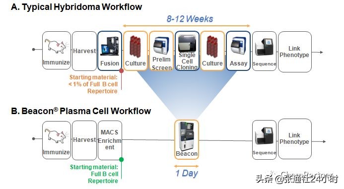 上海睿智化学订单,上海睿智化学最新消息