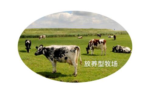 飞鹤四段奶粉为什么涨价这么多,飞鹤奶粉涨价是真的吗