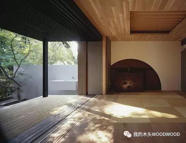 「树种介绍」软木中的贵族——日本桧木