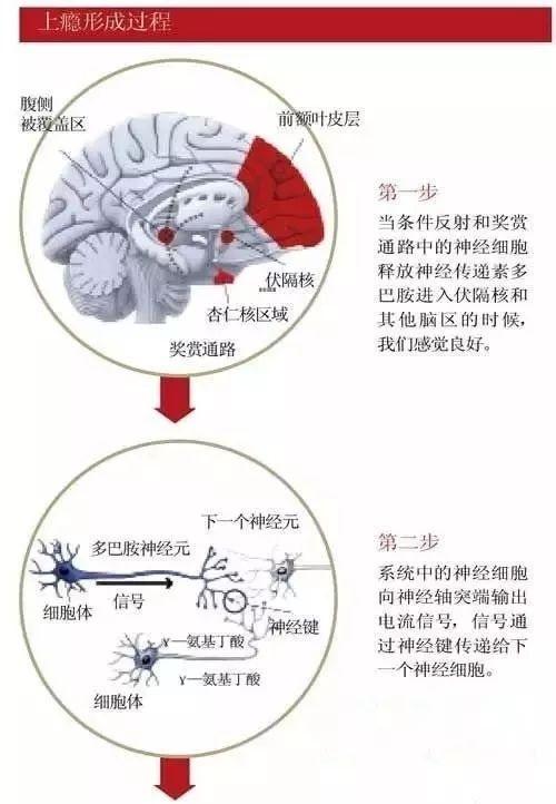 一年级禁毒漫画简单又漂亮,一个禁毒宣传漫画作品