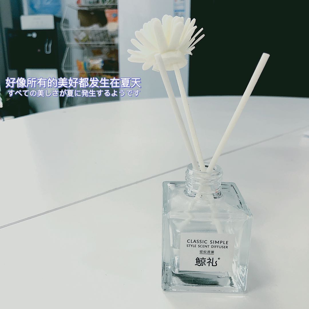 驱蚊大作战项目过程,夏季驱蚊大全