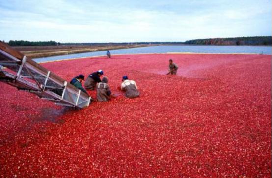药流后吃药排出残留的亲身经历,药流的过程经历和感悟