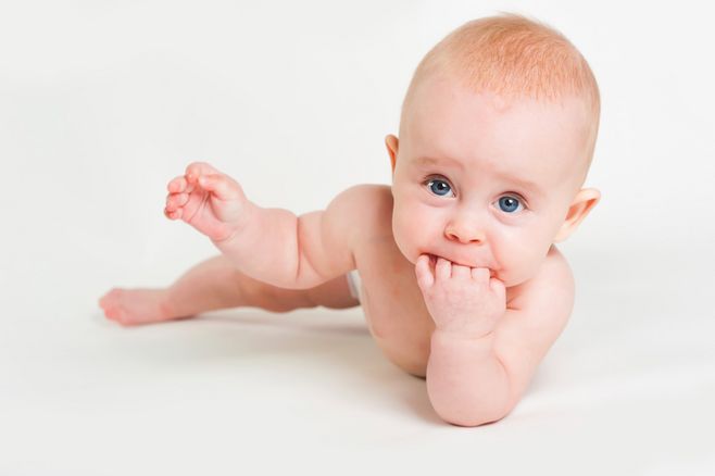 宝妈别再纠结羊奶粉还是牛奶粉了,羊奶粉和牛奶粉哪个更适合老年人