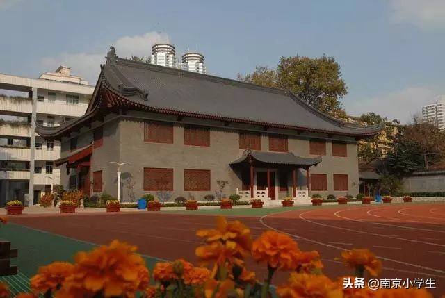 江苏南京的十大名校,南京百年小学排名