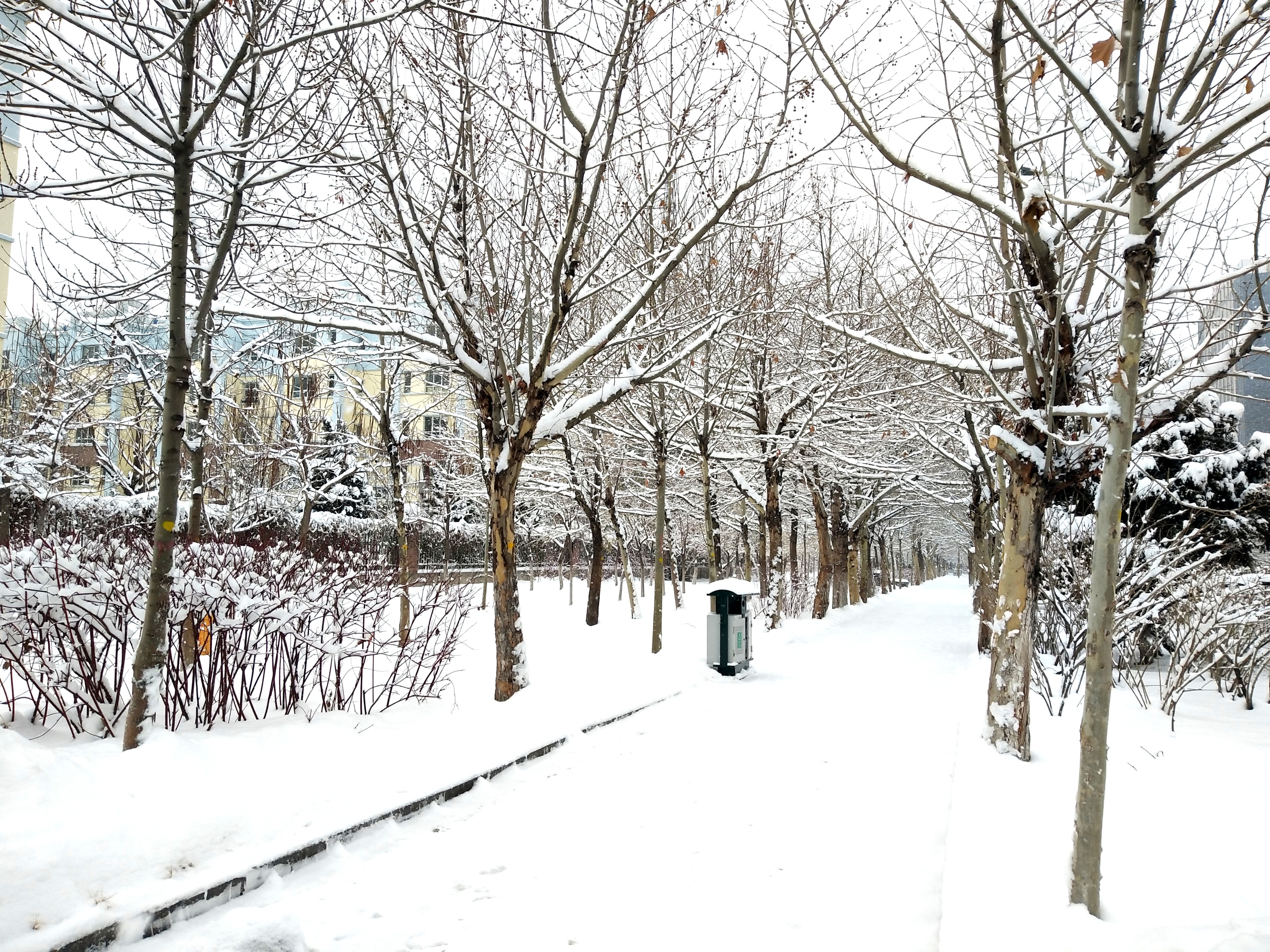 三天免税店代购,化妆品代购心得