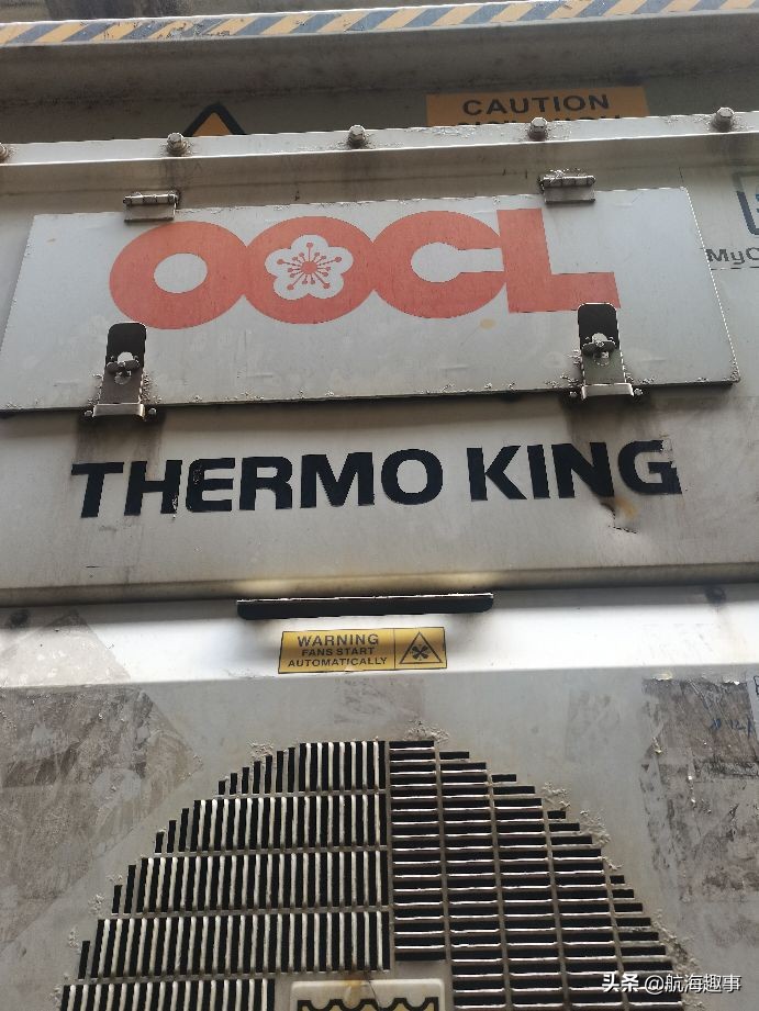 航海故事视频,航海王故事内容