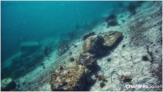 潜行多睿二代,潜行多睿值不值得买