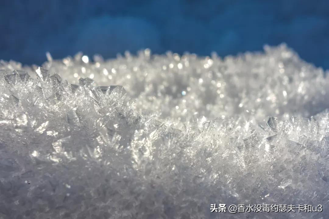 芦丹氏好不好闻,芦丹氏香水冷冽