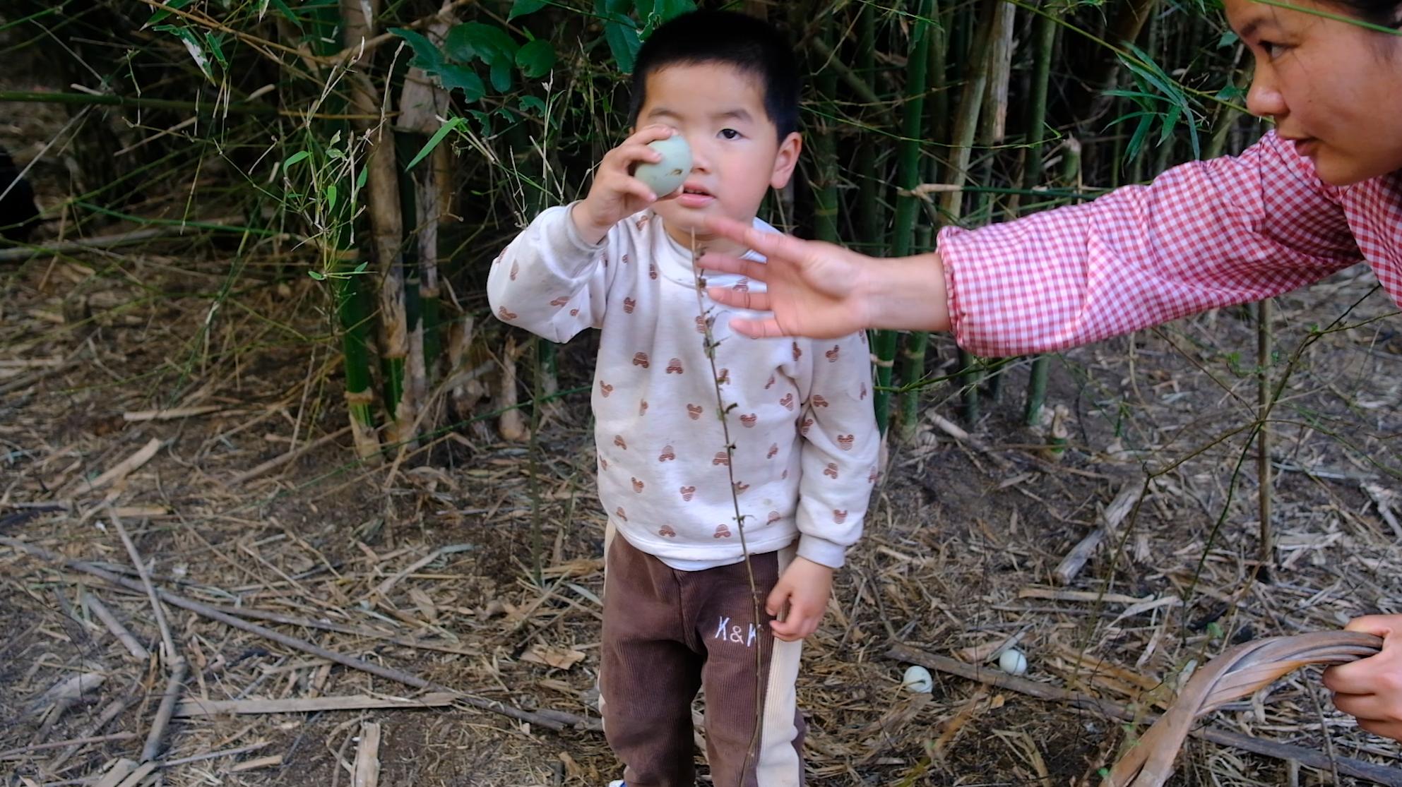 全身灰黑的鸟像鸡一样大不会飞,全身都是黑色的鸡