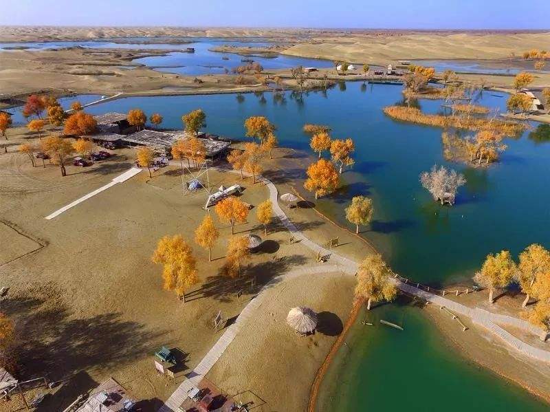 百兽之王老虎科普完整,百兽之王的自述