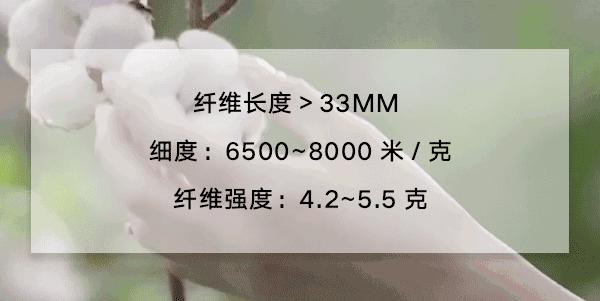t恤高档面料,冬天t恤什么面料最好