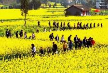 农村人越来越少土地怎么办,农村人口越来越少了怎么办