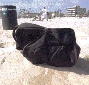 笑话怎么解释,笑话真相原来是这样