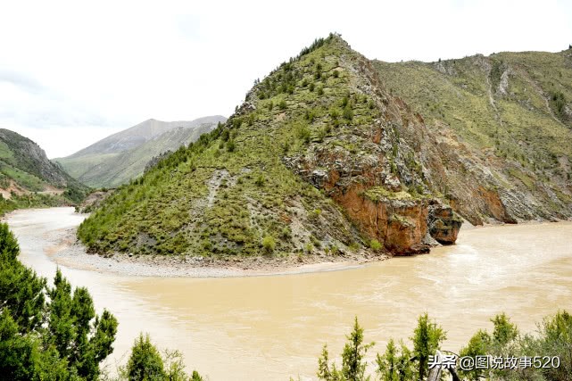 最好的虫草10斤虫草价值多少,正宗西藏鲜虫草多少钱一斤