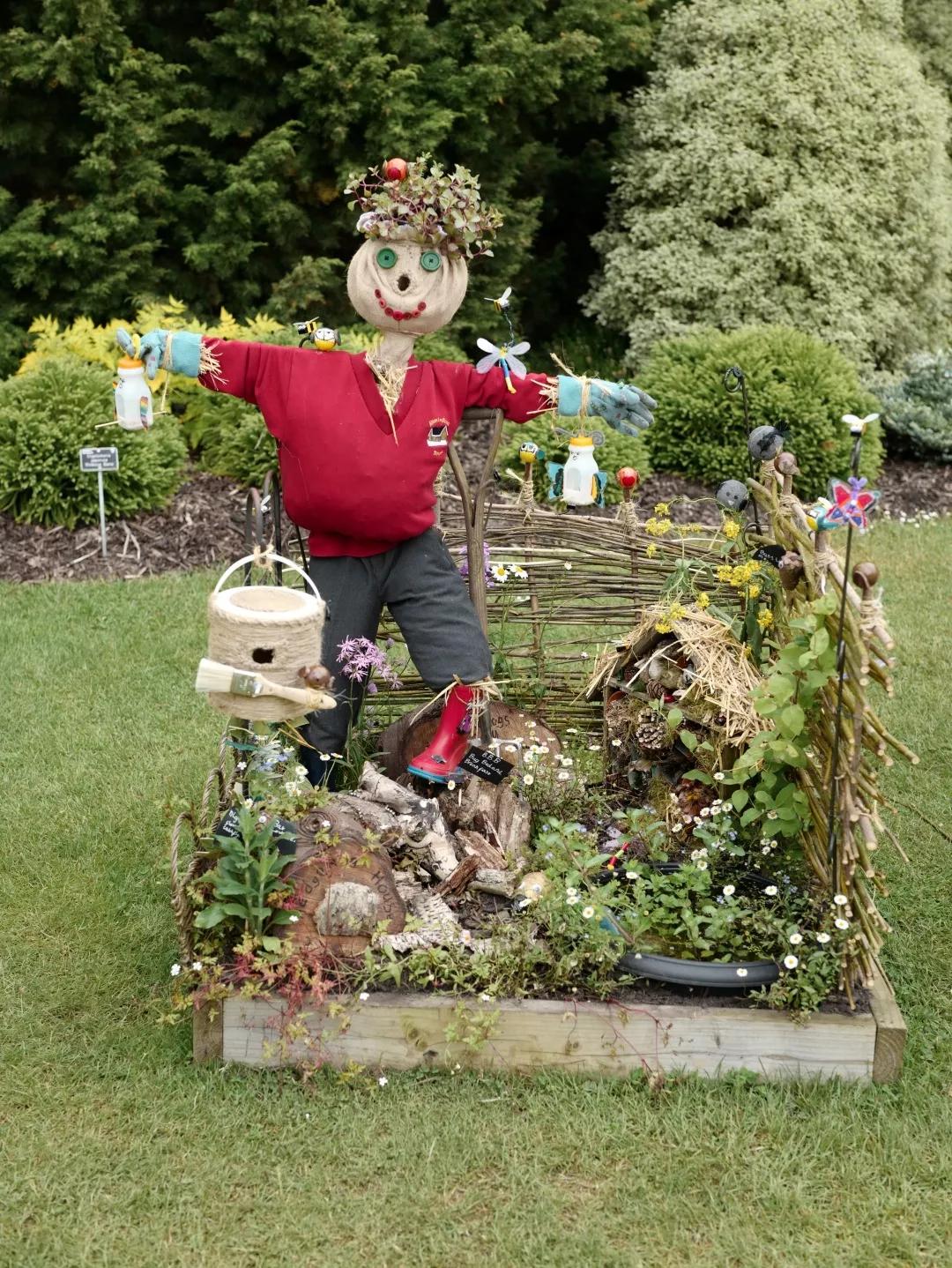 建一座完全不打药的生态花园,所有生命在这里和谐共处,值得收藏