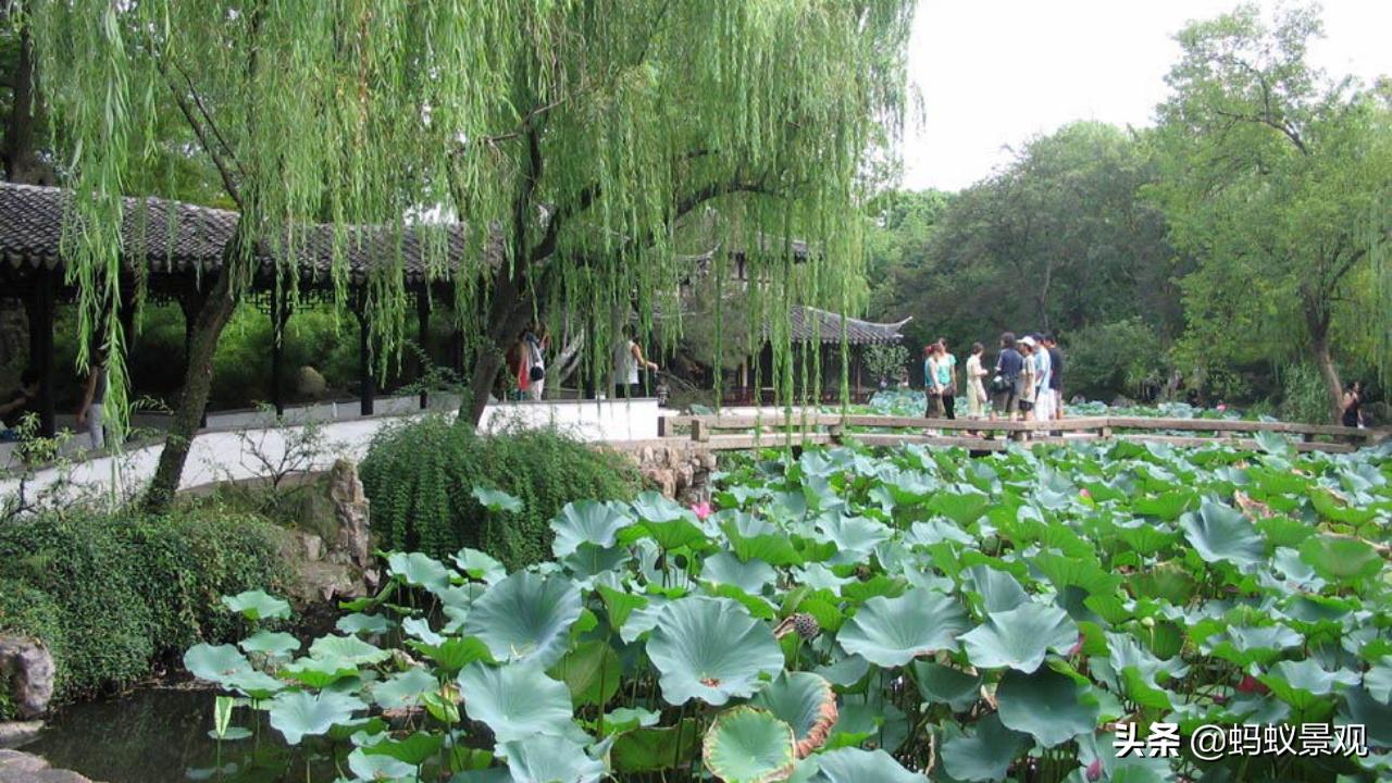 陈从周的园林作品有哪些,陈从周中国园林风格