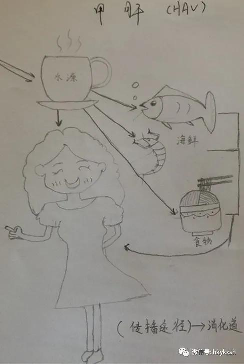 今日科普||甲型肝炎