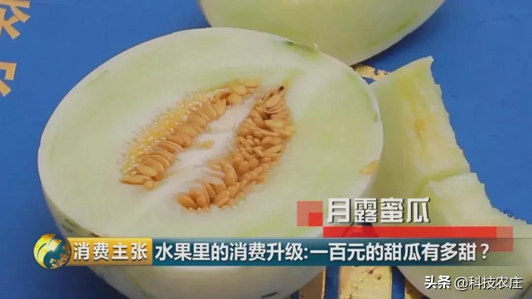 甜瓜最好卖的有哪些品种,菠萝猕猴桃芒果甜瓜什么最贵