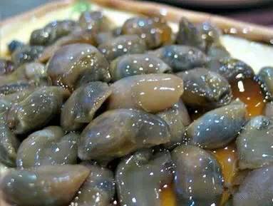 海鲜大全,最全海鲜冷知识