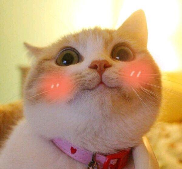 经济抗老保湿的精华油哪个好用,40岁抗老精华油推荐