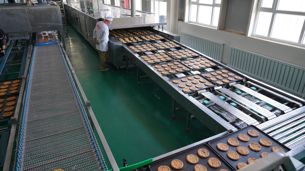 彪炳史册的伟大奇迹全文,脱贫攻坚的伟大成就