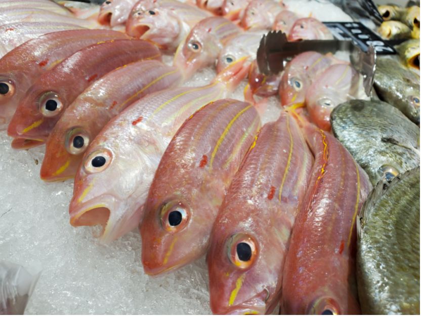 三星note10+深度评测拍照功能,三星note10画质