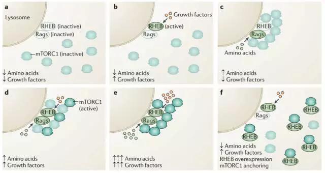 硬货的解析,硬货必买的10种