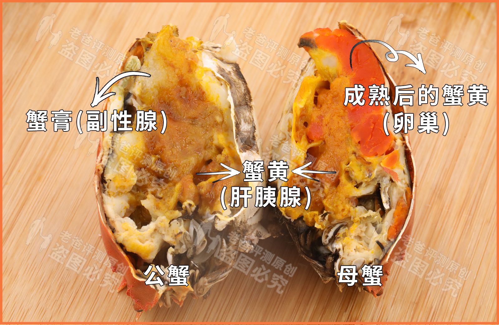 母蟹和公蟹开春后哪个好吃,母蟹和公蟹哪个好吃鲜活