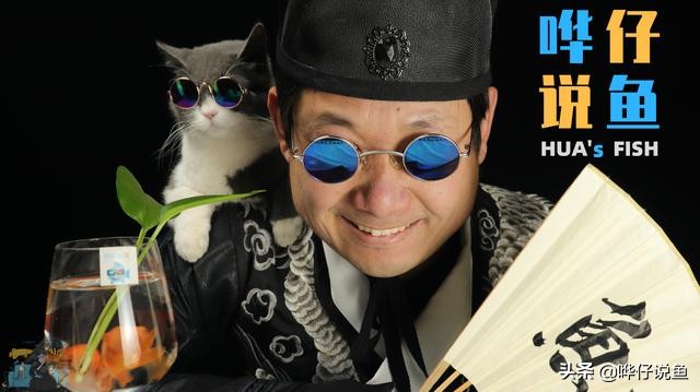 从万人追捧到受人唾弃高晓松,从被人嫌弃到万人瞩目后心态