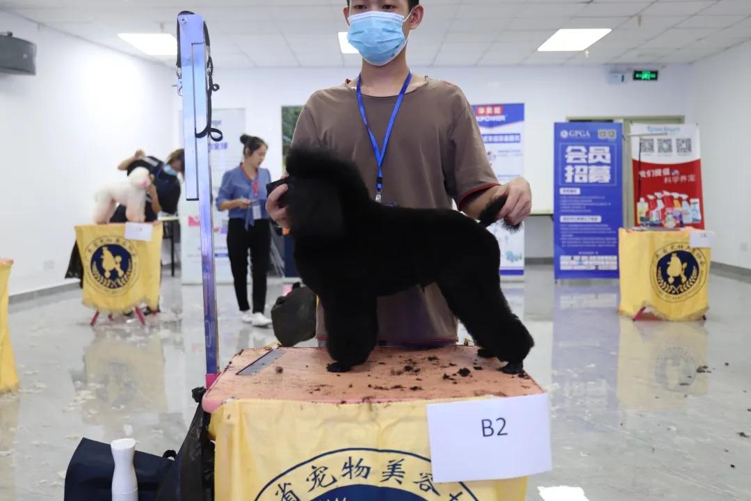 成绩公布！“品谱杯”GPGA第14届宠物美容师资格鉴定考试