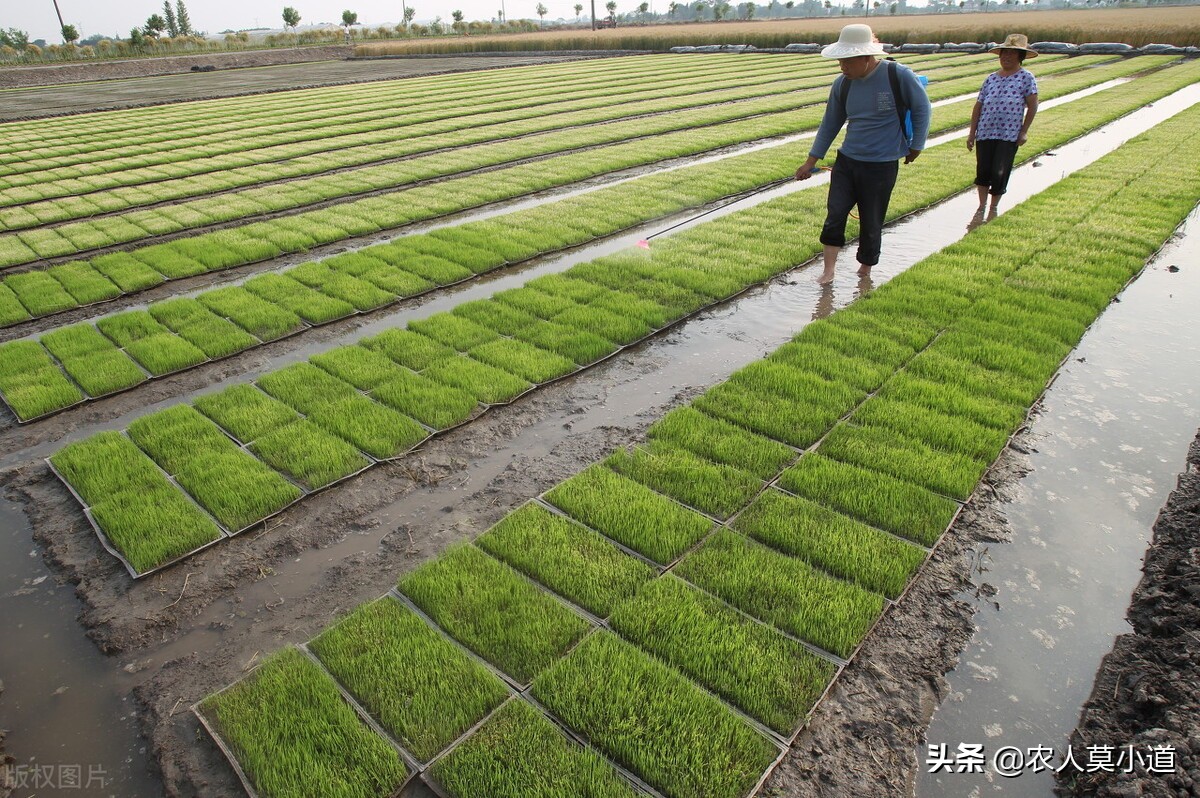 注销户口影响继承房子吗,户口注销影响房产继承过户吗