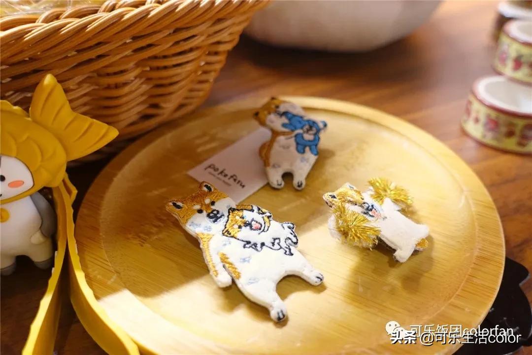 撸柴犬店广州,撸柴宠物乐园