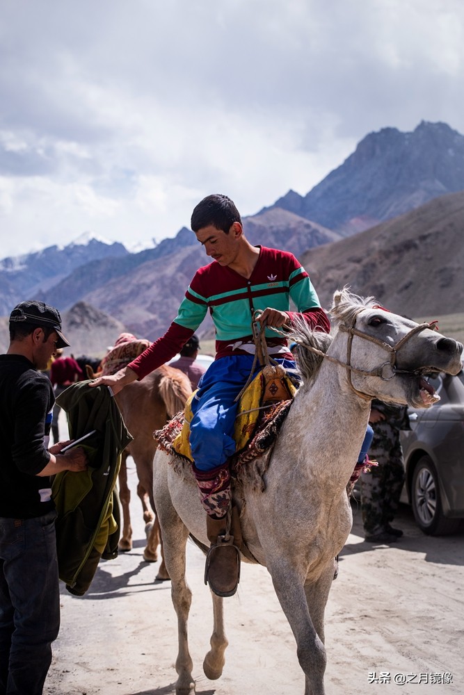 铁血雄鹰全剧,铁血雄鹰全文阅读