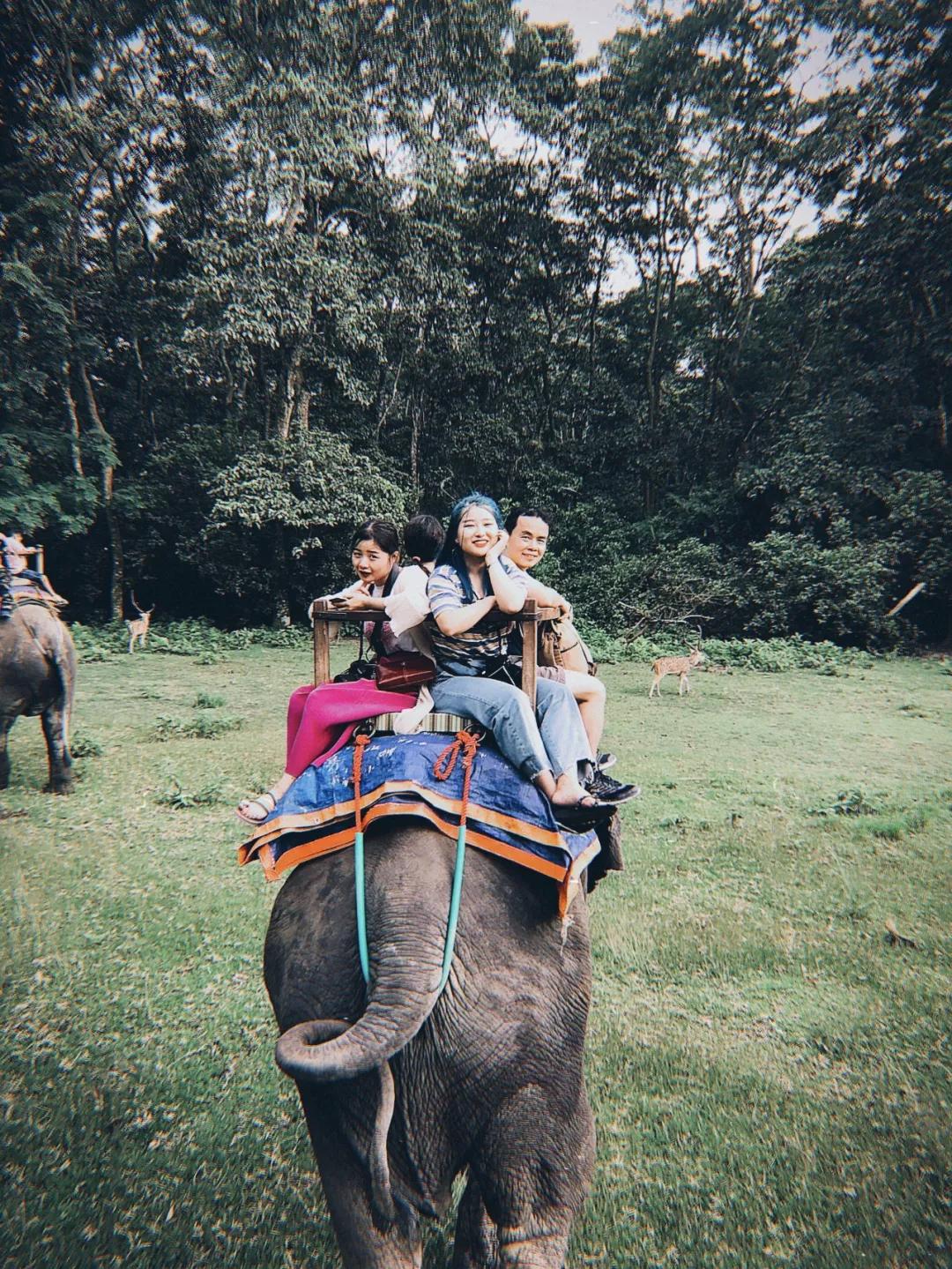 这个微笑国度，见人就夸漂亮，300元就能在天空滑翔