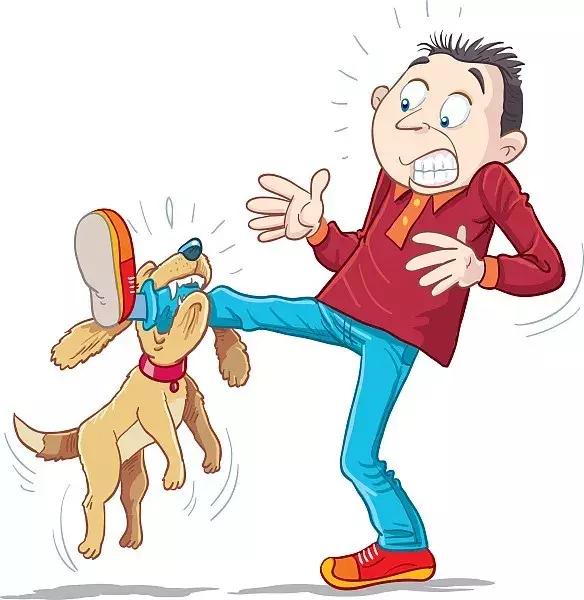 狗狗不咬人怎么办,我家狗不咬人音频