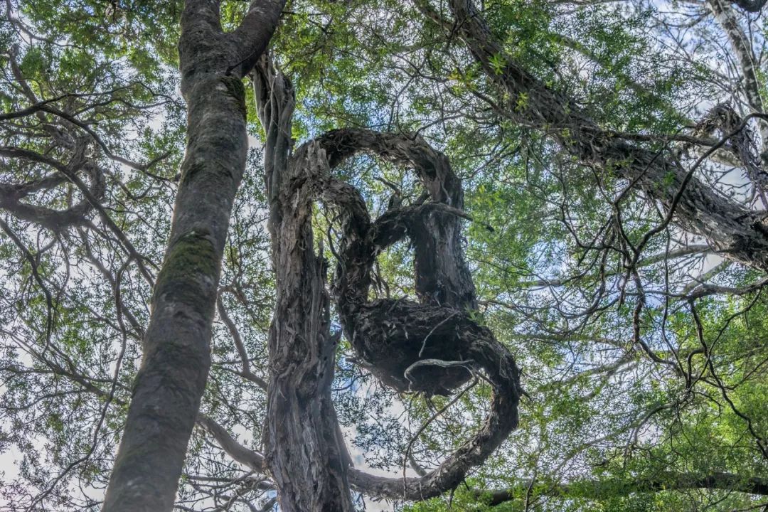 希腊帆船旅行,帆船航海深度体验