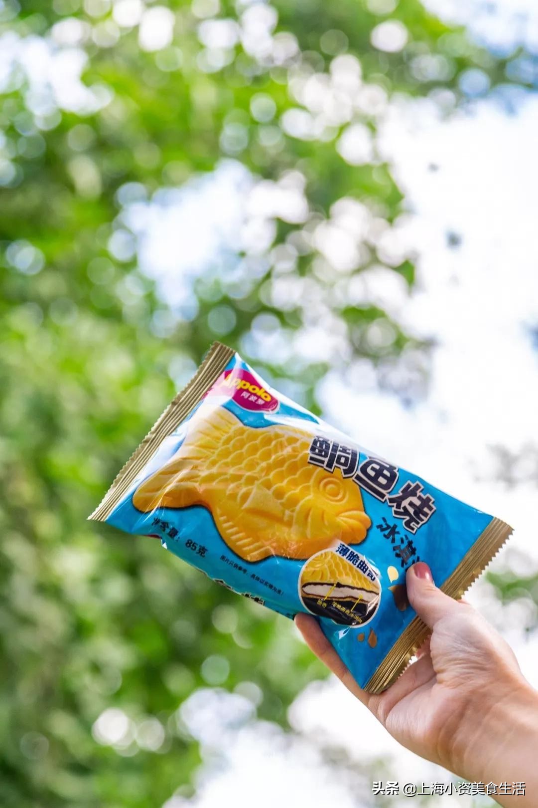 国内崛起的雪糕,中国风网红雪糕