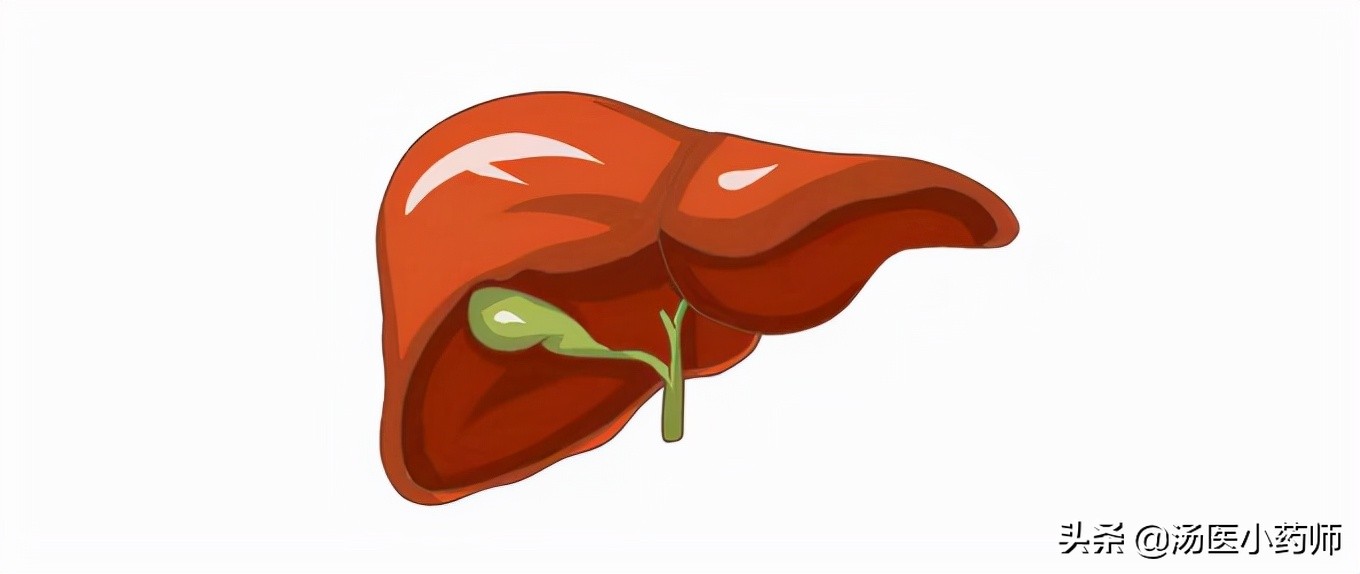 葛根对肝的作用与功效解酒,葛根功效与作用解酒
