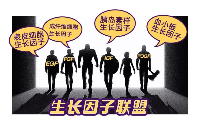 生长因子igf-1正常值,生长因子igf-2