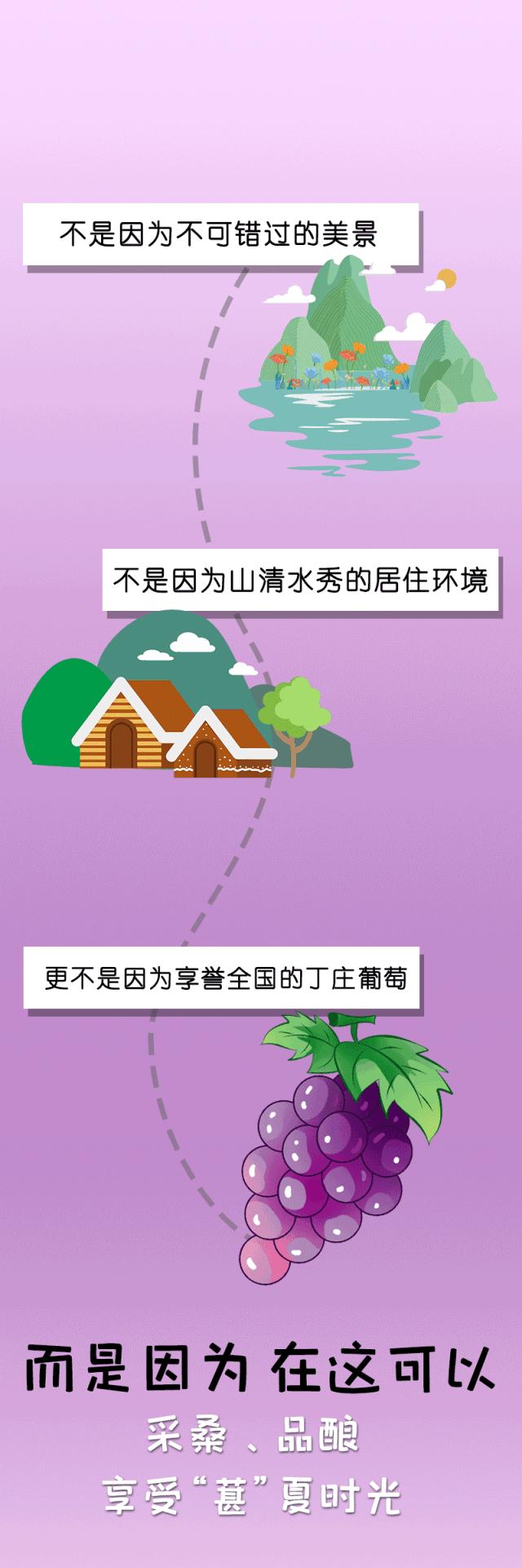 八方游客齐聚桑果紫酒节，共赴这场采桑品酿盛会