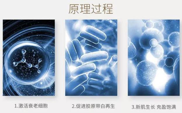 不老女神明星李英爱,51岁李英爱冻龄神颜的原因