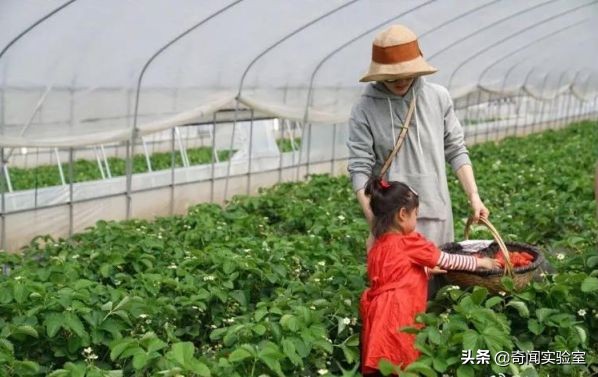 新型女士帽,户外防晒女帽折叠