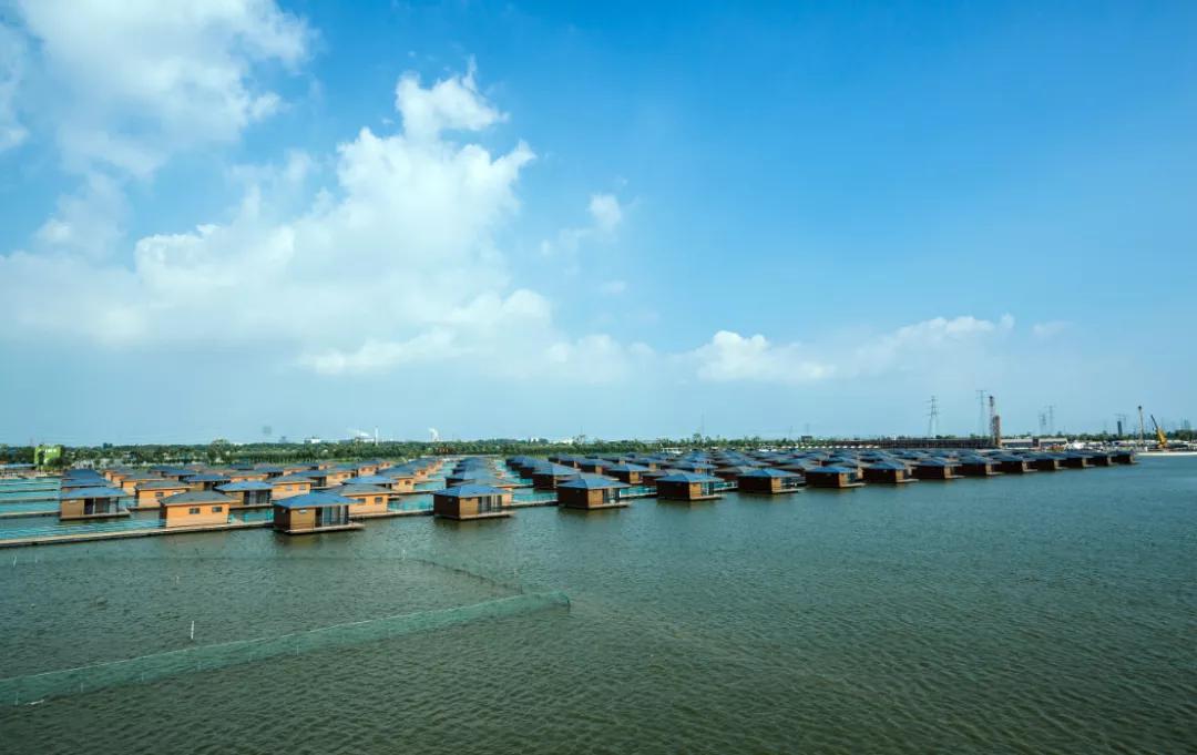 你是否见过鱼儿逆流而上？这里的“渔文化”妙趣横生